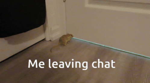 Hamster chat