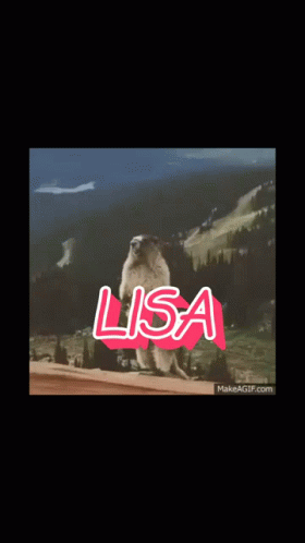 Lisa Marmot GIF - Lisa Marmot Squirrel GIFs