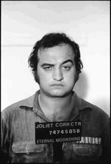 eyebrow belushi