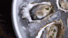 Oyster Platter GIF - Oyster Fresh Food Porn GIFs
