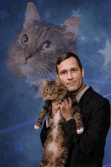 Cat Laser GIF - Cat Laser Portrait GIFs