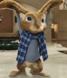 陳偉霆 Peter Rabbit GIF - 陳偉霆 Peter Rabbit GIFs