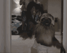 three awesome things combined baby monkey diapers dancing