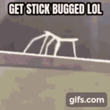Stick Bugged GIF - Stick Bugged GIFs
