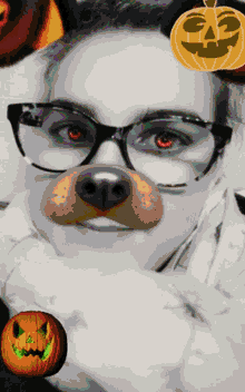 selfie filter dog filter pumpkin
