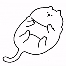 animals companion