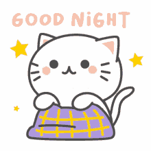 good night night sleep sleepy sleepy cat