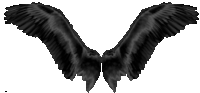 Wings Black Wings Sticker - Wings Black Wings Fly Stickers