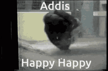 Addis Monkey GIF - Addis Monkey Happy GIFs