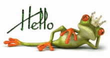Hallo Frog GIF - Hallo Frog Hello GIFs
