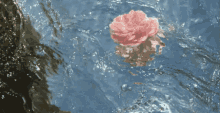 Water Flower GIF - Water Flower Pink GIFs