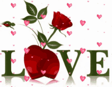 Red Rose I Love You GIF - Red Rose I Love You Hearts GIFs