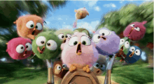 Hatchlings Angry GIF - Hatchlings Angry Birds GIFs