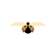 Getdebug Ladybug GIF - Getdebug Ladybug Bug GIFs
