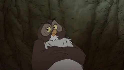 owl-what.gif