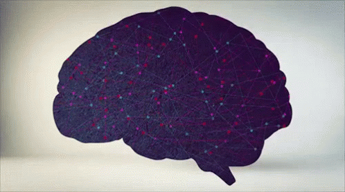Brain GIF - Brain Mind Energy GIFs