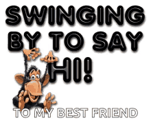 Swinging By To Say Hi To My Best Friend Hello GIF - Swinging By To Say Hi To My Best Friend Hello Monkey GIFs