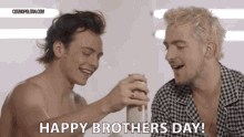 Happy Brothers Day Cheers GIF - Happy Brothers Day Cheers Drink GIFs