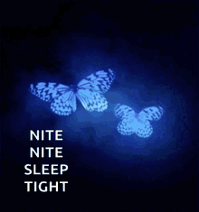 Nite Nite Sleep Tight Good GIF - Nite Nite Sleep Tight Good Night GIFs