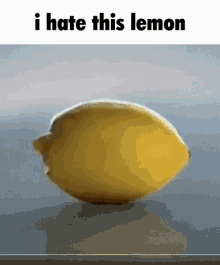 Lemon Hate GIF - Lemon Hate This Lemon GIFs