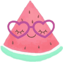 watermelon cucurbitaceae citrullus lanatus fruit glasses watermelon cucurbitaceae citrullus lanatus fruit glasses