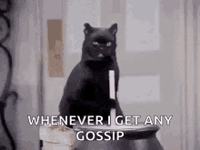 Stir The Pot Cat GIF - Stir The Pot Cat Whenever I Get Gossip GIFs
