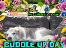 Cuddle Up Day I Love Cuddling With You GIF - Cuddle Up Day I Love Cuddling With You Your Cuddles Make Me Warm GIFs