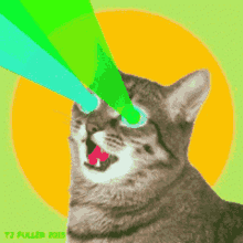 고양이레이저 Laser GIF - 고양이레이저 Laser Cat GIFs