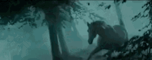 Blade Runner Unicorn Gif Blade Runner Unicorn Dream Discover Share Gifs