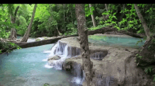Water Waterfall GIF - Water Waterfall Nature GIFs
