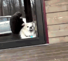 Funny Animals Window Licker GIF - Funny Animals Window Licker Dogs GIFs