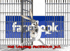 Bugs Bunny Facebook Sticker - Bugs Bunny Bugs Facebook Stickers