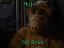 Hop On Big Roxy Big Roxy Wilderness GIF - Hop On Big Roxy Big Roxy Wilderness Big Roxy GIFs