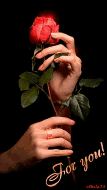 For You Red Rose GIF - For You Red Rose Sparkles GIFs