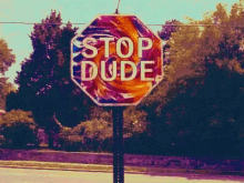 Stop Dude GIF - Stop Dude GIFs
