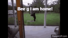bear bee g home i am home
