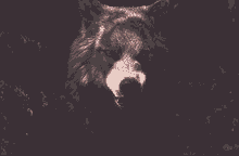lupus werewolf