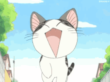 Cat Anime GIF - Cat Anime Chis Sweet Home GIFs