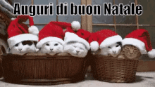 Gatti Babbo Natale GIF - Buon Natale Babbo Natale Gattini GIFs
