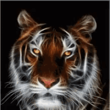Yes Tiger GIF - Yes Tiger GIFs