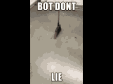 Bot Dont Lie Discord GIF - Bot Dont Lie Bot Lie GIFs