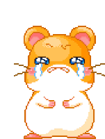 Hamster Sad Sticker - Hamster Sad Crying Stickers