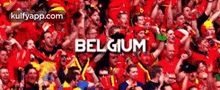 Belgium.Gif GIF - Belgium Person Human GIFs