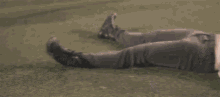 this is life delighted happiness fun having fun this is life delighted happiness fun having fun