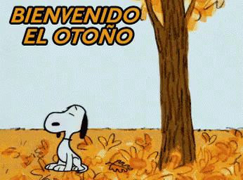 bienvenido el otoño