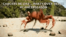 Cancer Crabs GIF - Cancer Crabs GIFs