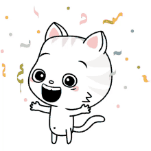 toofiothe cat confettie surprised happy excited