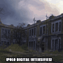 Polo Polo Digital GIF - Polo Polo Digital Digital GIFs