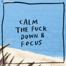 Calm The Fuck Down And Focus Gifkaro GIF - Calm The Fuck Down And Focus Gifkaro Calm Down GIFs