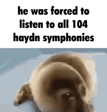 Haydn GIF - Haydn GIFs
